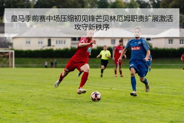 img_1783706683072_652_1_733.jpg